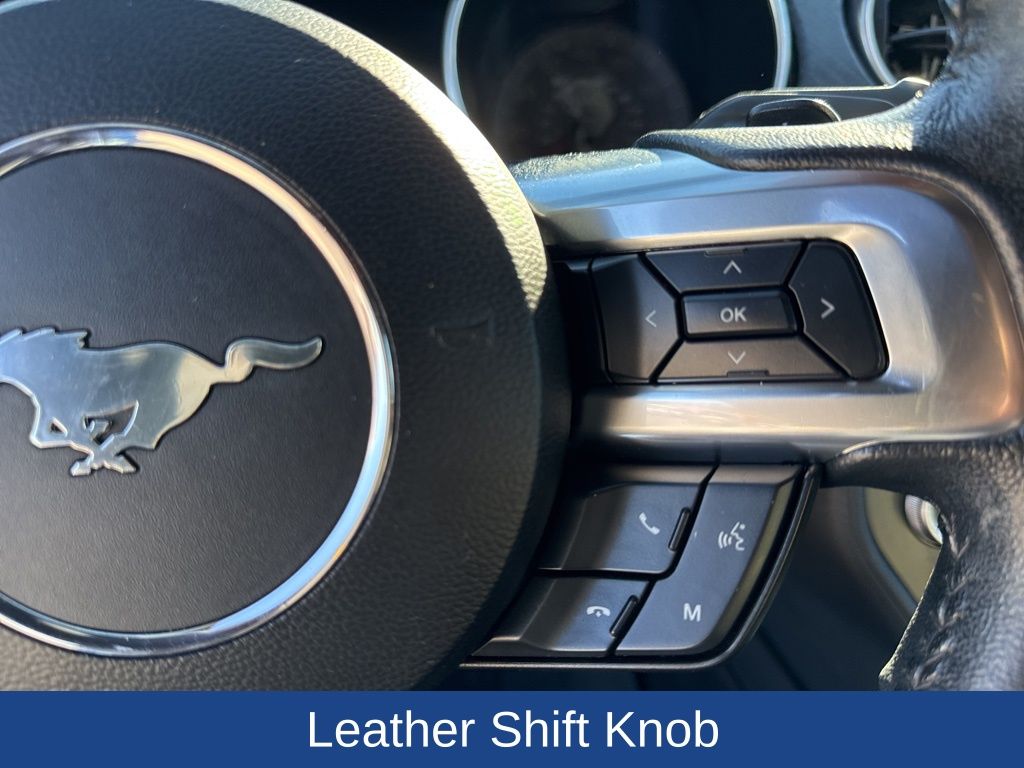 2019 Ford Mustang EcoBoost