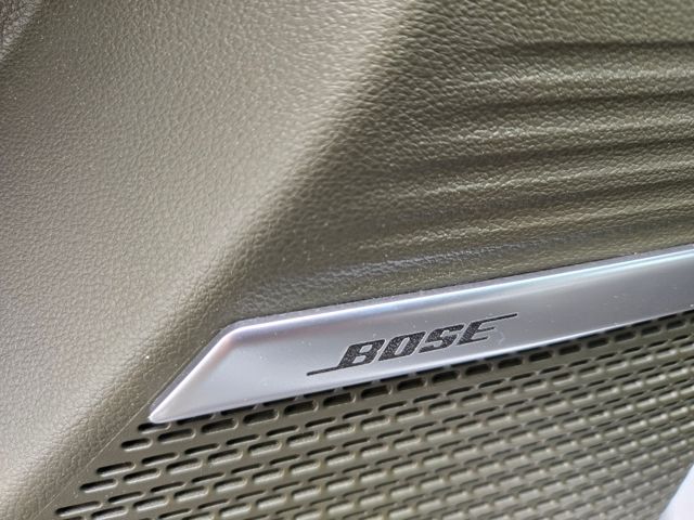 2025 Hyundai Santa Fe Calligraphy 21