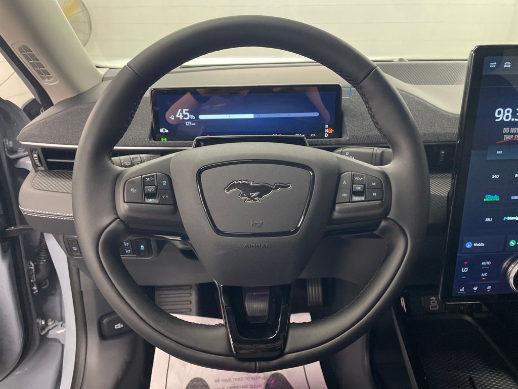 2025 Ford Mustang Mach-E Premium photo 14