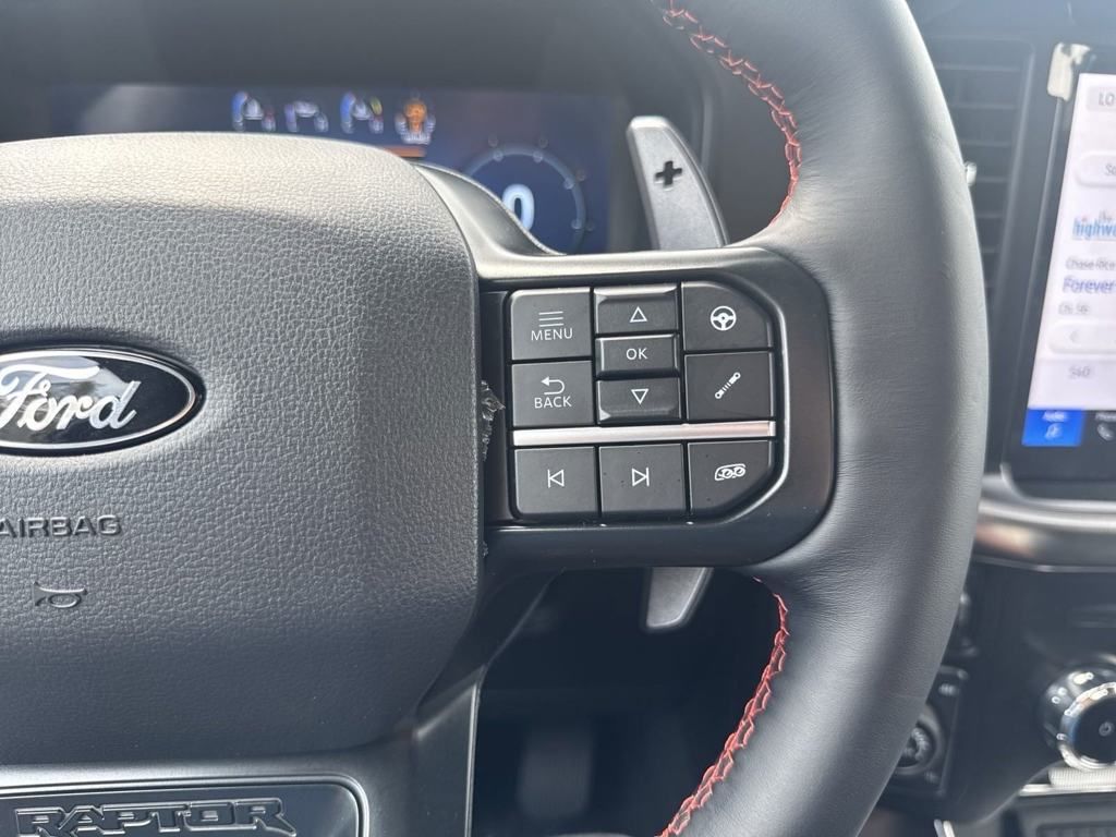 2024 Ford F-150 Raptor photo 8