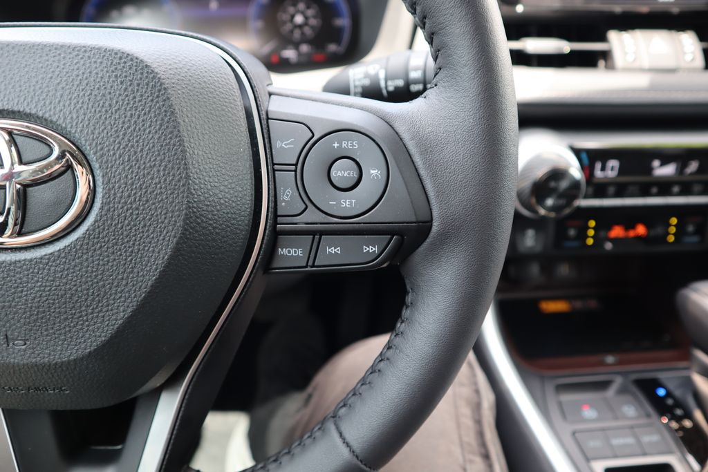 2025 Toyota RAV4 Limited 12