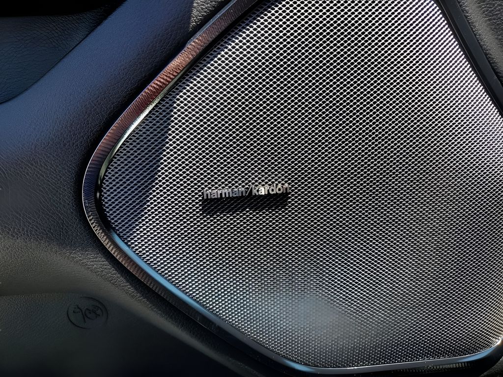 New 2026 Black Ram Rebel image 15