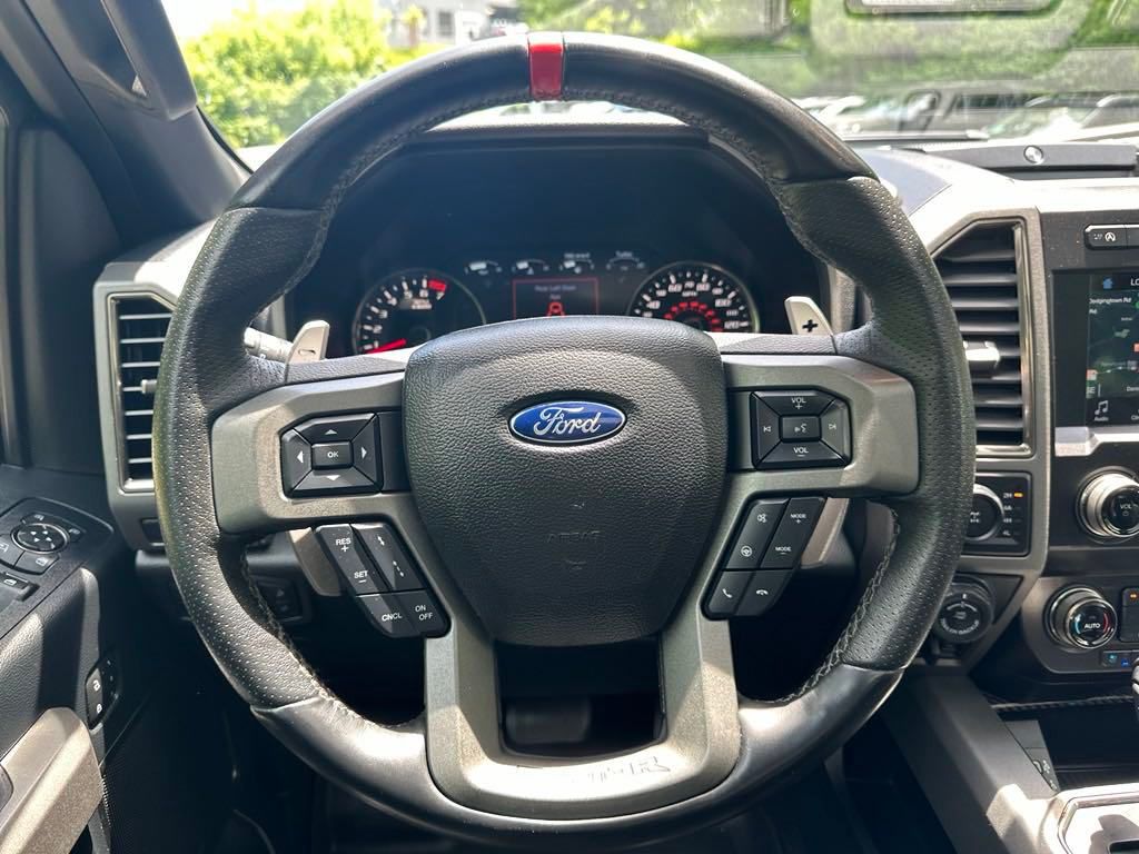 2019 Ford F-150 Raptor 14