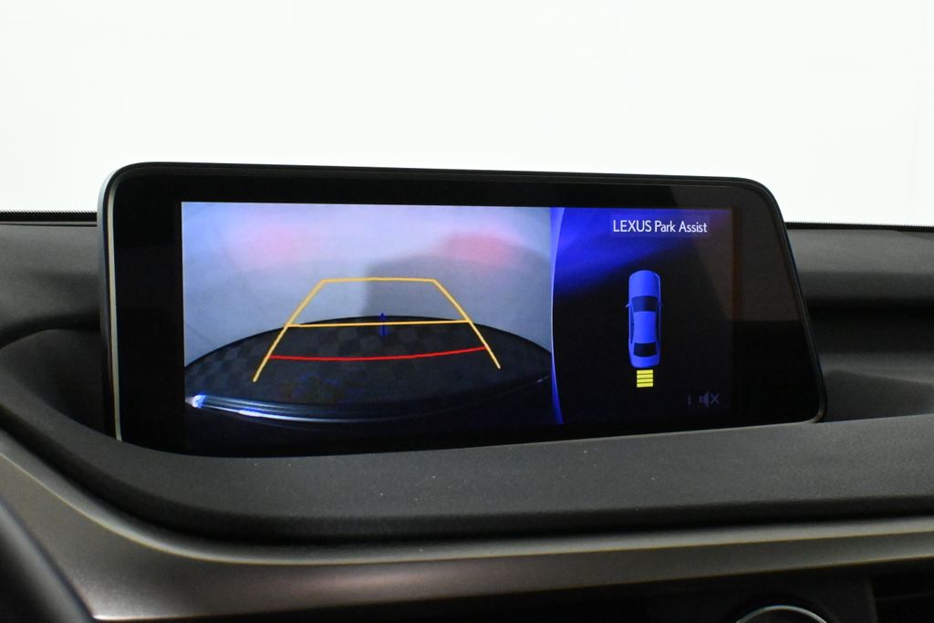 2019 Lexus RX Hybrid 450h 28