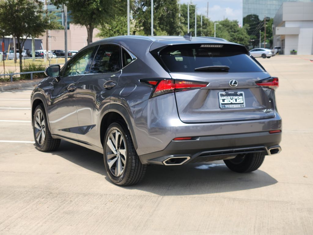 2019 Lexus NX 300 Base Gray at Emmons Autoplex
