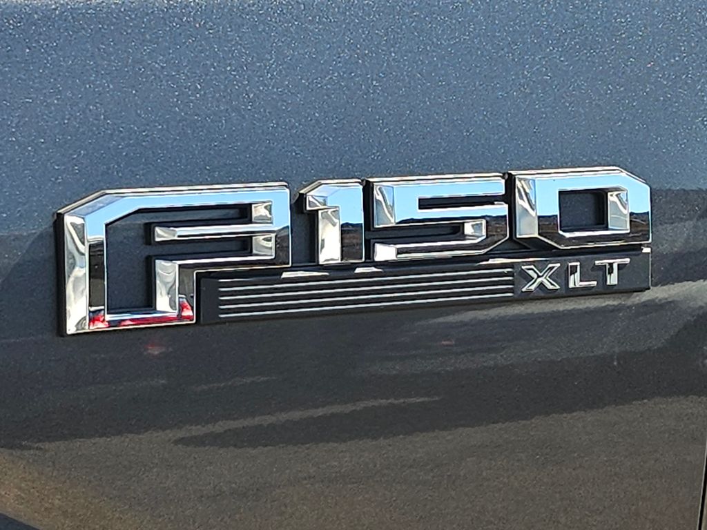 2019 Magnetic Ford F-150 XLT RWD Truck