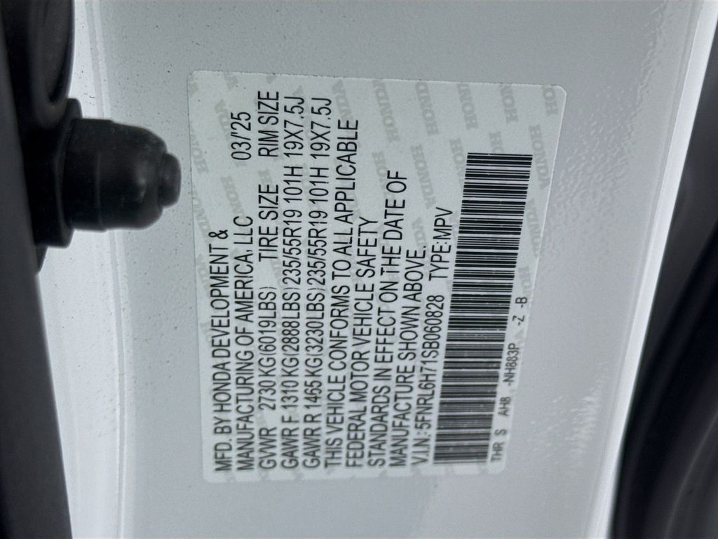 Used Car 2025 Honda Odyssey  Sport-l For Sale Under $40,000 In Austin, Texas