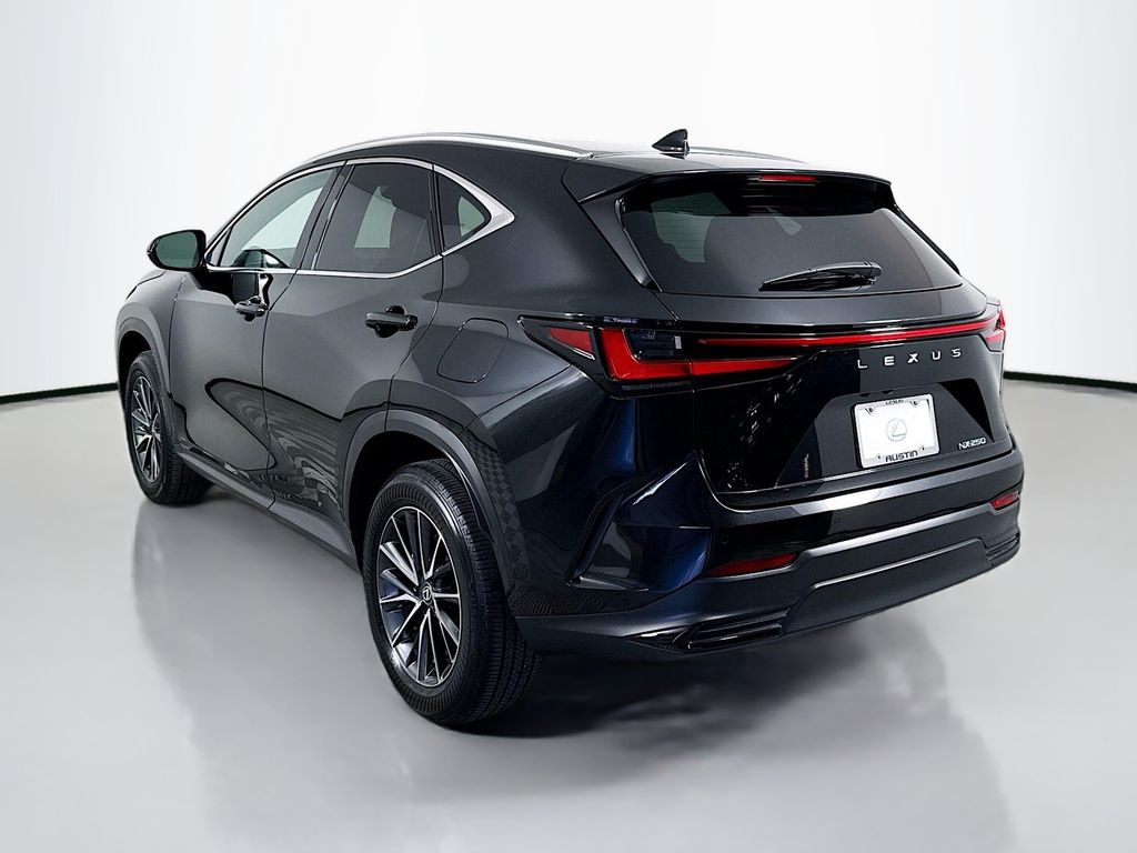 2025 Lexus NX 250 7