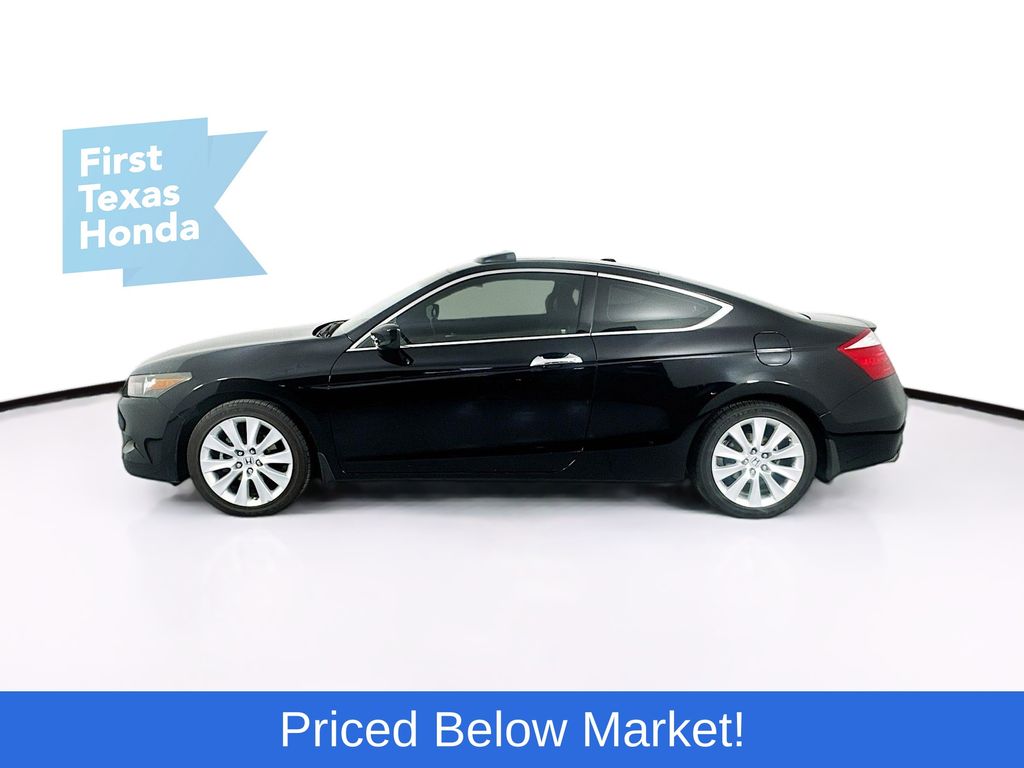 Used Car 2009 Honda Accord  Ex-l For Sale Under $10,000 In Austin, Texas