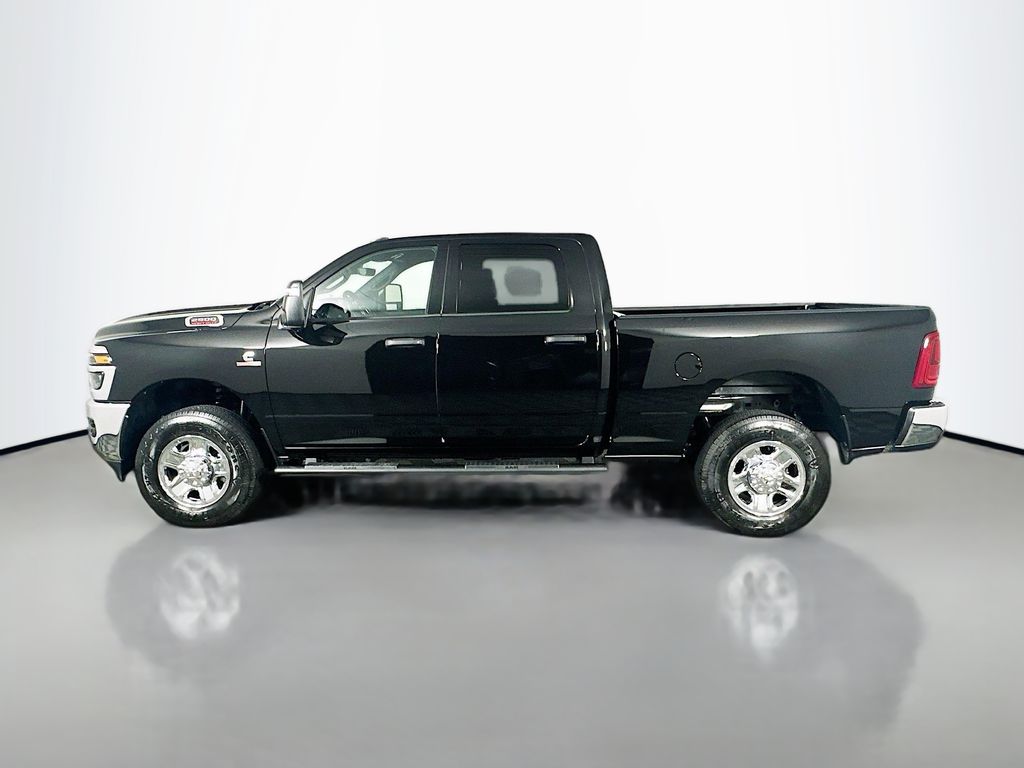 New 2025 Black Ram Tradesman 12in image 4