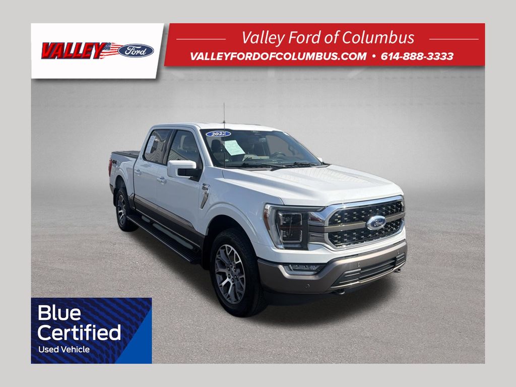 2022 Ford F-150 Gris (Stone Gray) Camioneta Todo terreno Automática
