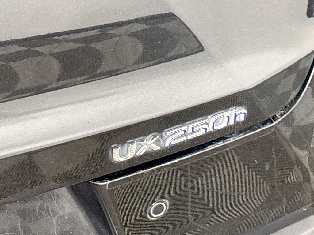 2020 Lexus UX 250h F SPORT