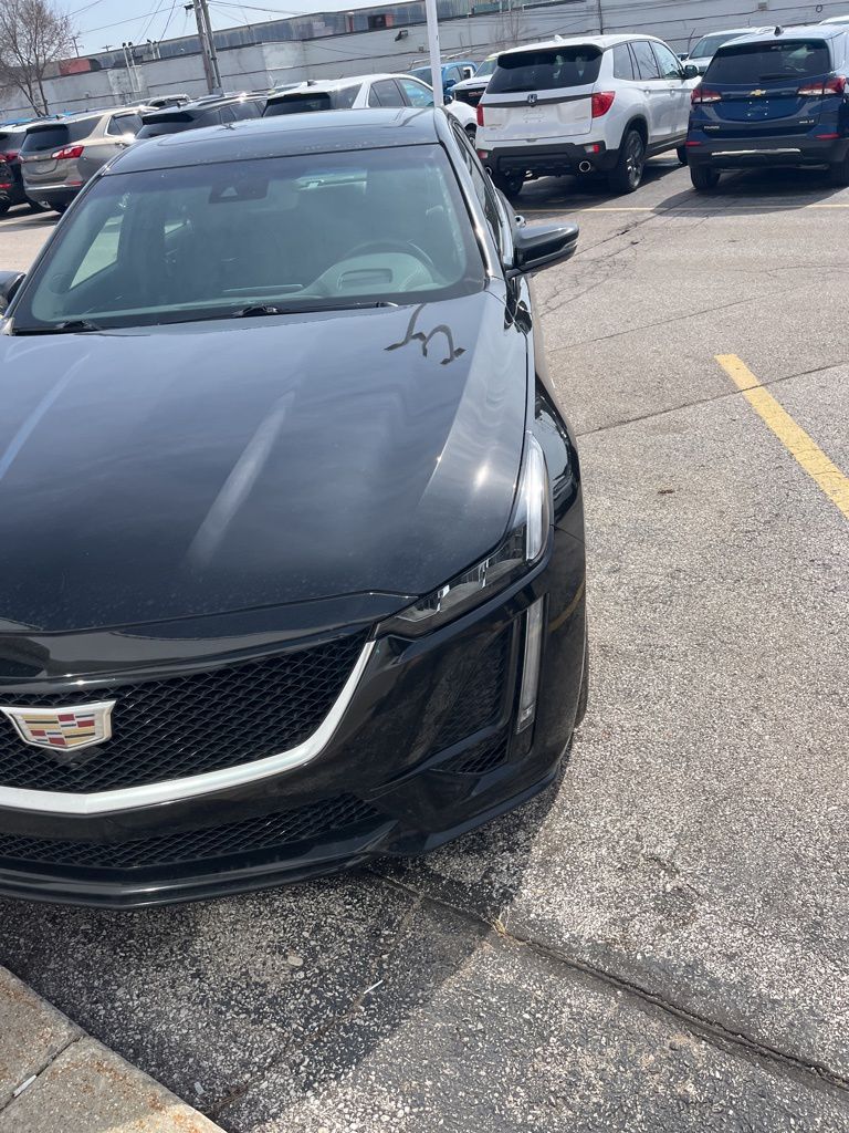 View vehicle photo 4