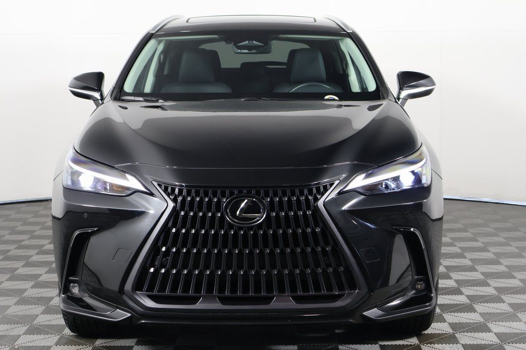 2025 Lexus NX 250 2