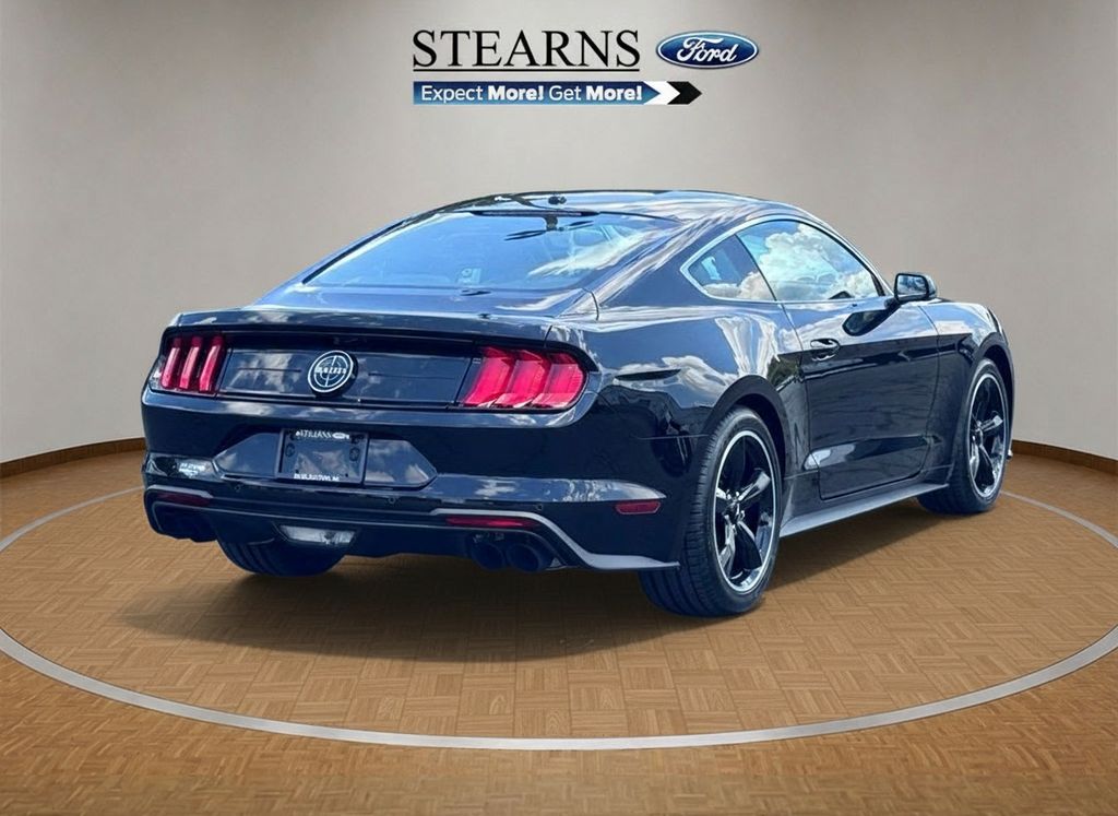 FordMustang18