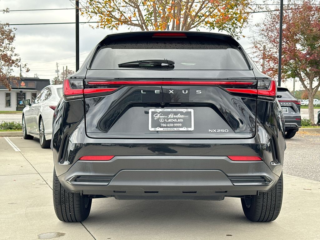 2023 Lexus NX 250 Premium photo 4