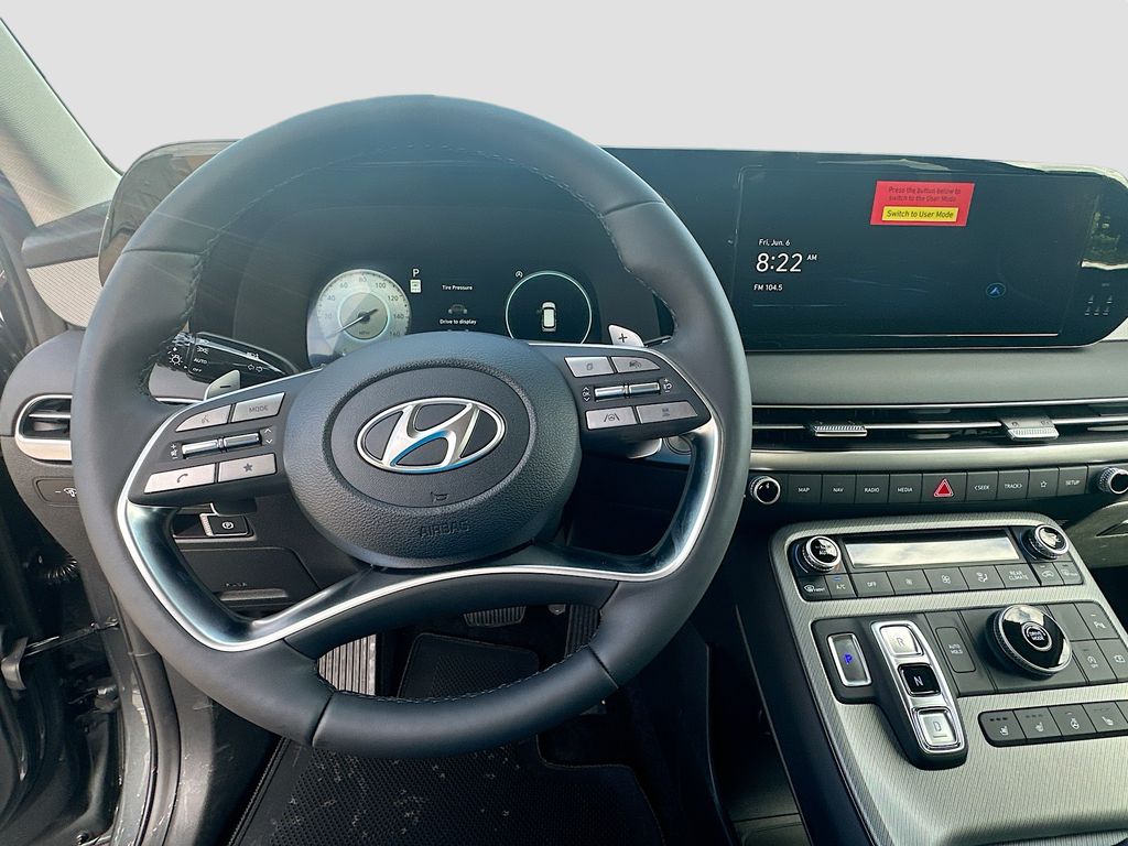 2025 Hyundai Palisade SEL 10