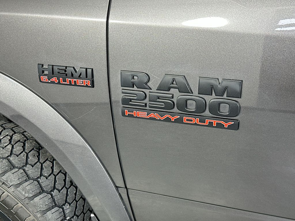 Ram250029