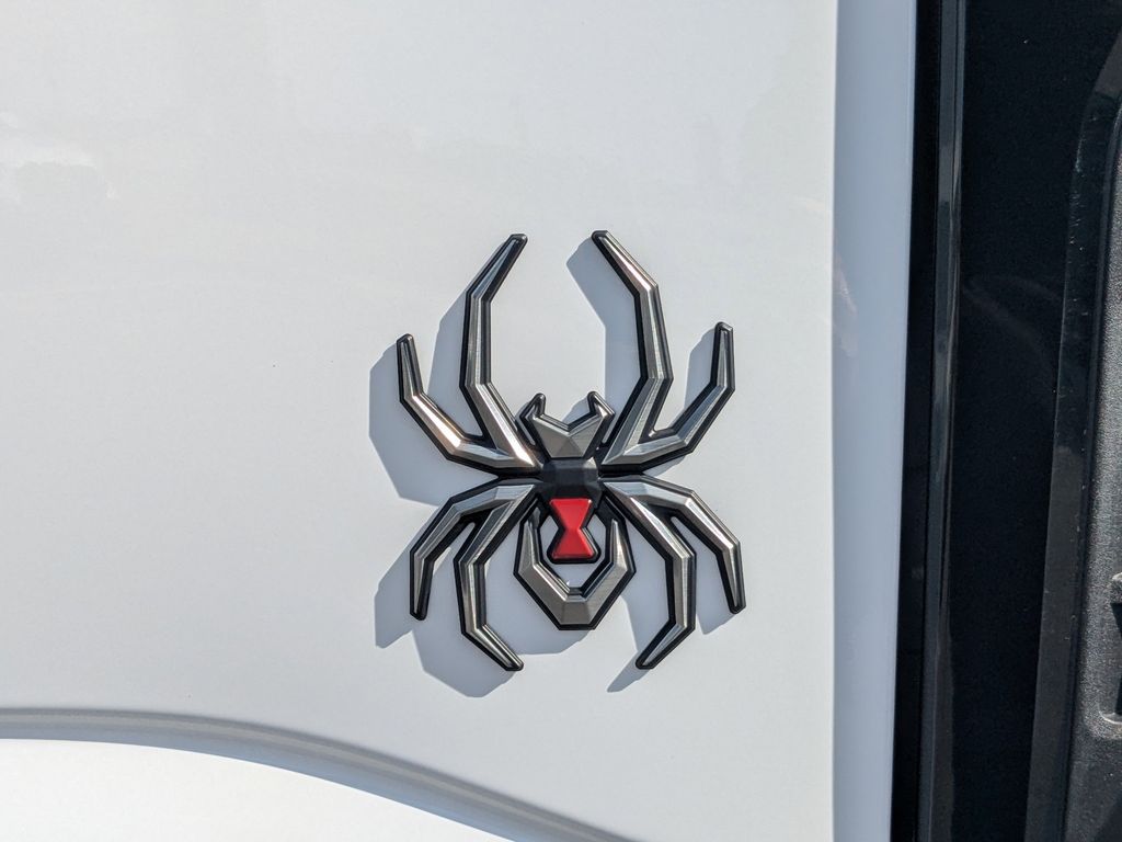 2026 Ford F-250 Super Duty Black Widow