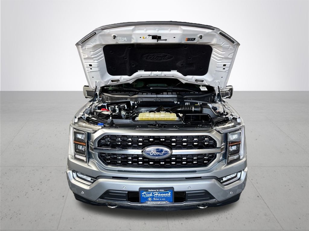 2021 Ford F-150 Platinum