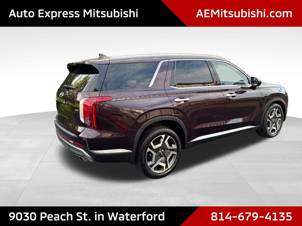 2024 Hyundai Palisade Limited - 6