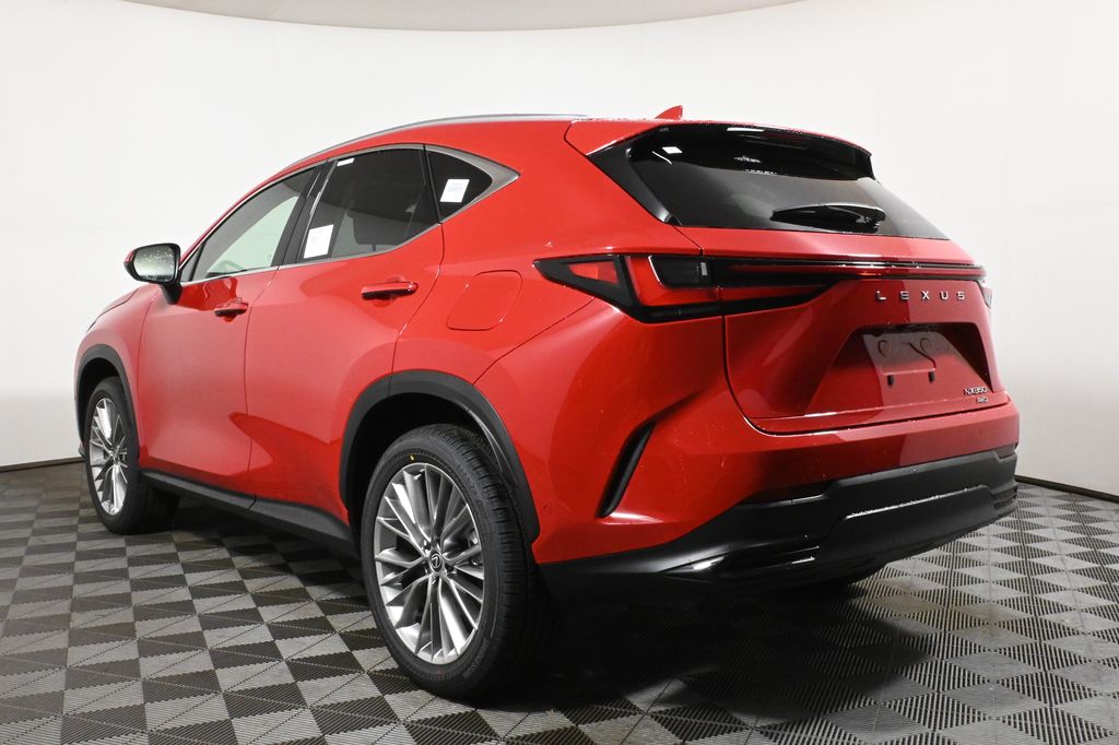 2025 Lexus NX 350 Luxury 5