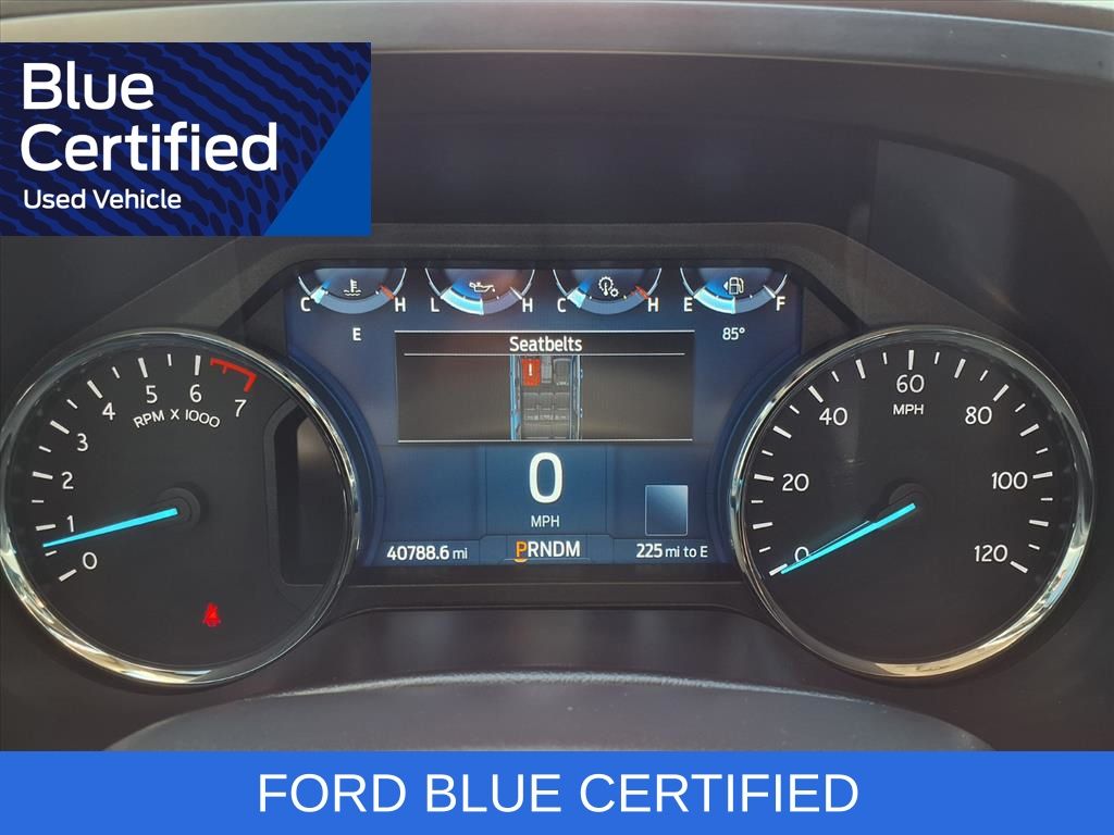 2023 Ford Expedition Max XLT Green at Wharton Ford