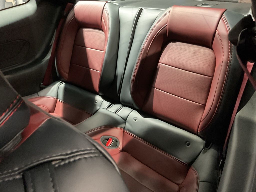 New 2025 Black Ford GT Premium image 15