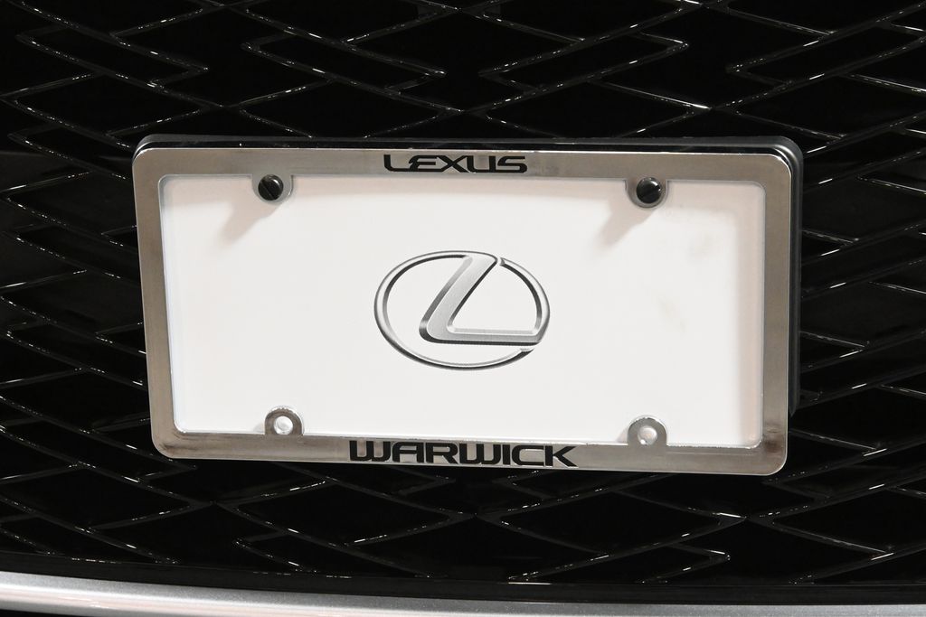 2024 Lexus RX 350 14