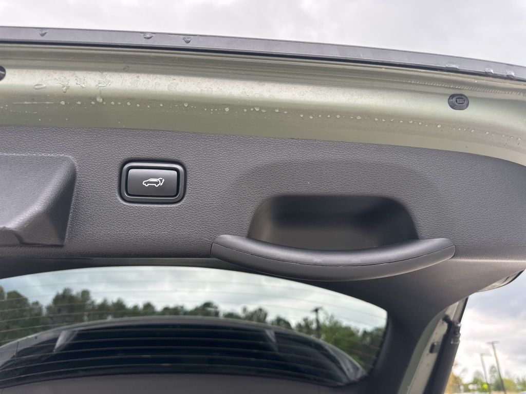 2024 Jungle Green Kia Sportage X-Line AWD SUV