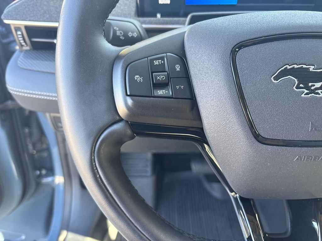 2024 Ford Mustang Mach-E Premium photo 12