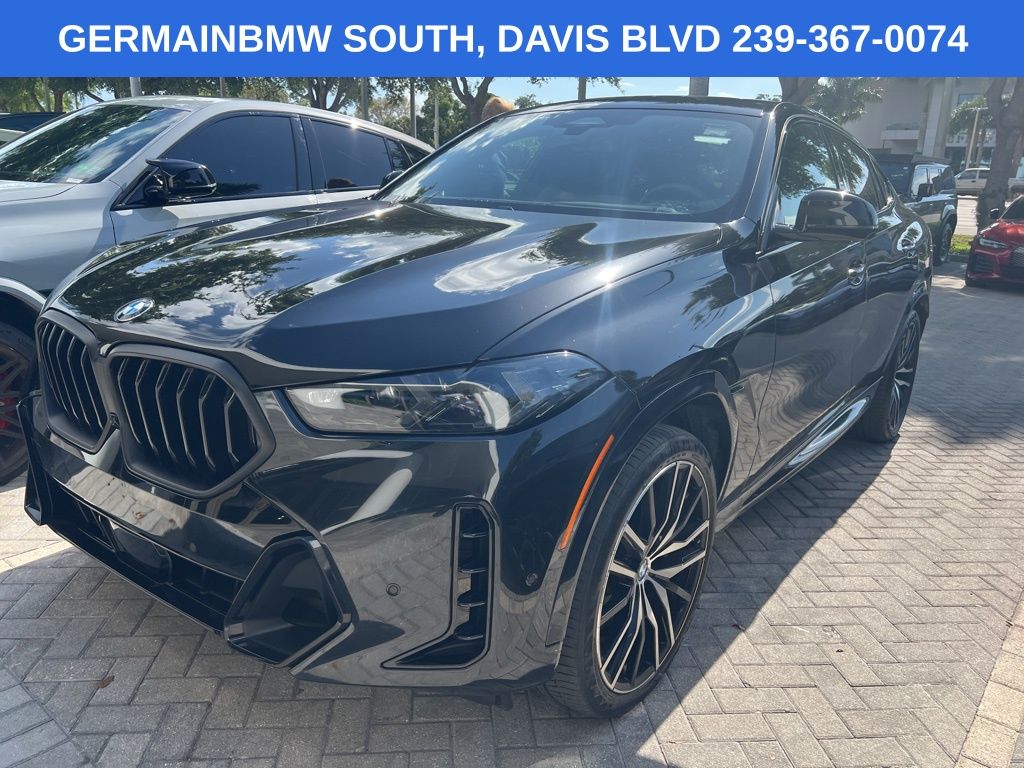 2024 BMW X6