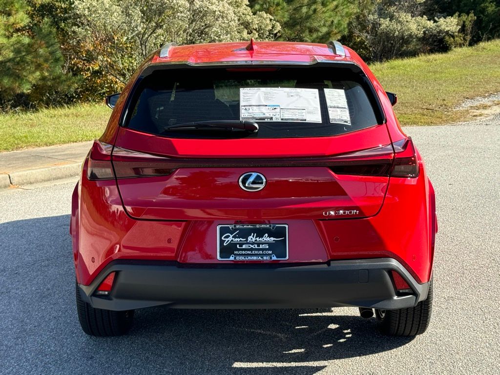 2025 Lexus UX 300h Premium 12