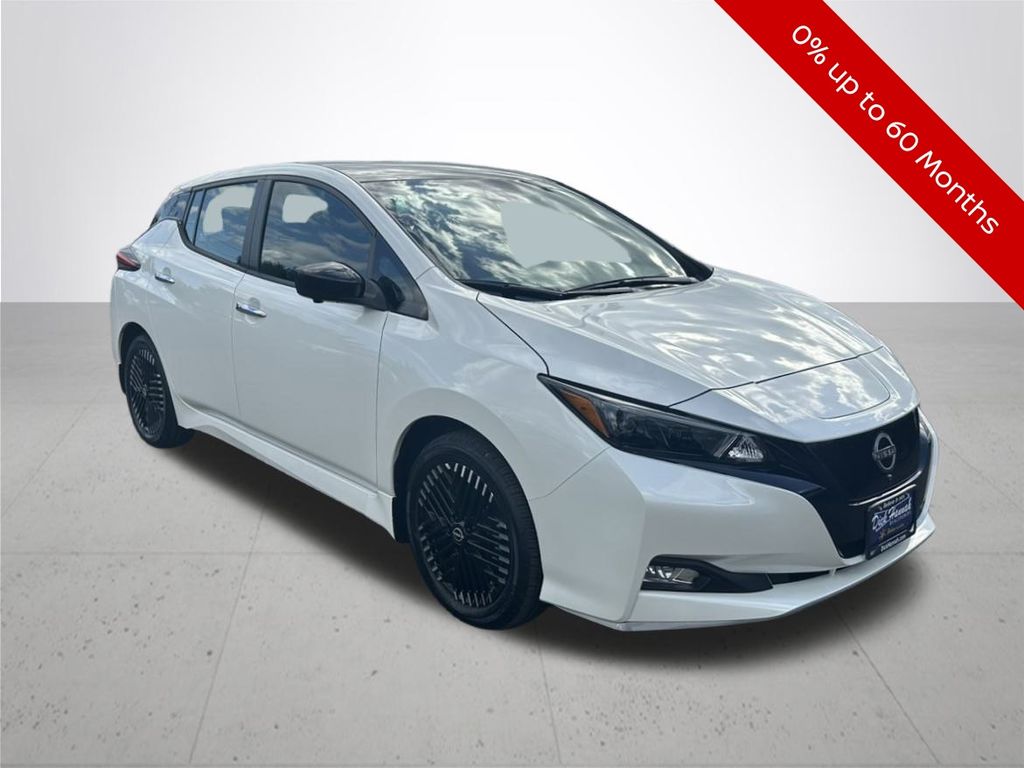Leaf SV Plus