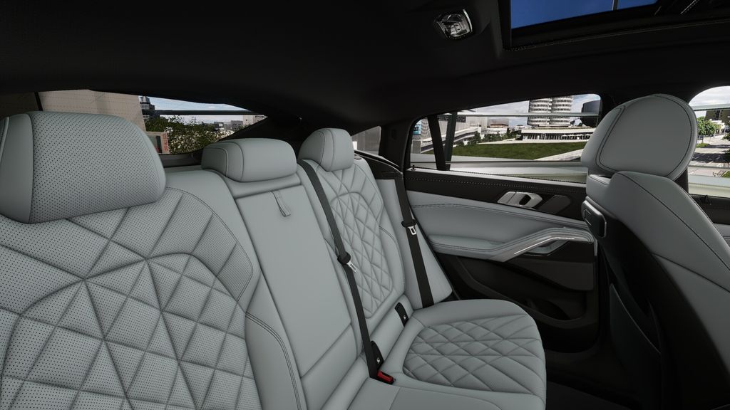 Thumbnail: 2026 BMW X6 - 12