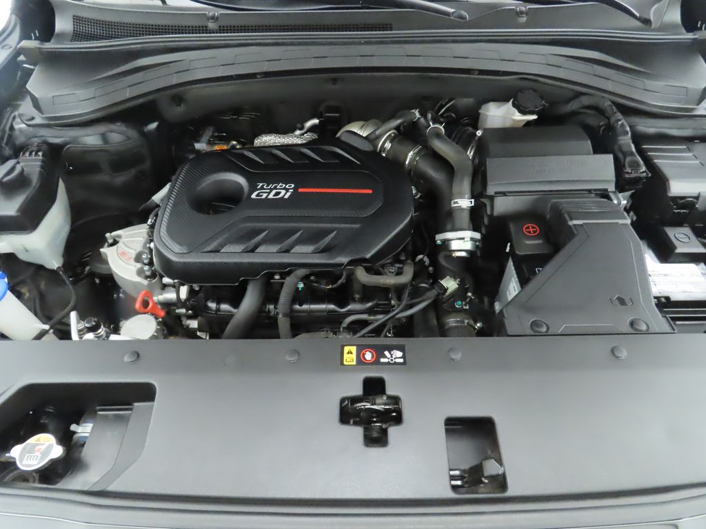 2019 Hyundai Santa Fe Ultimate 30