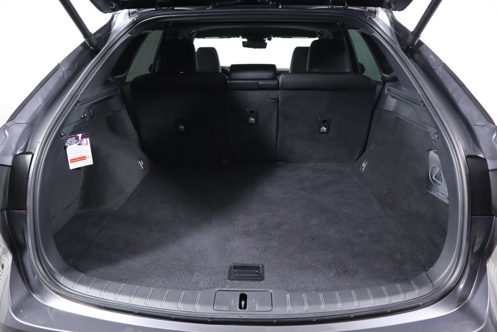 2023 Lexus RX 350 28