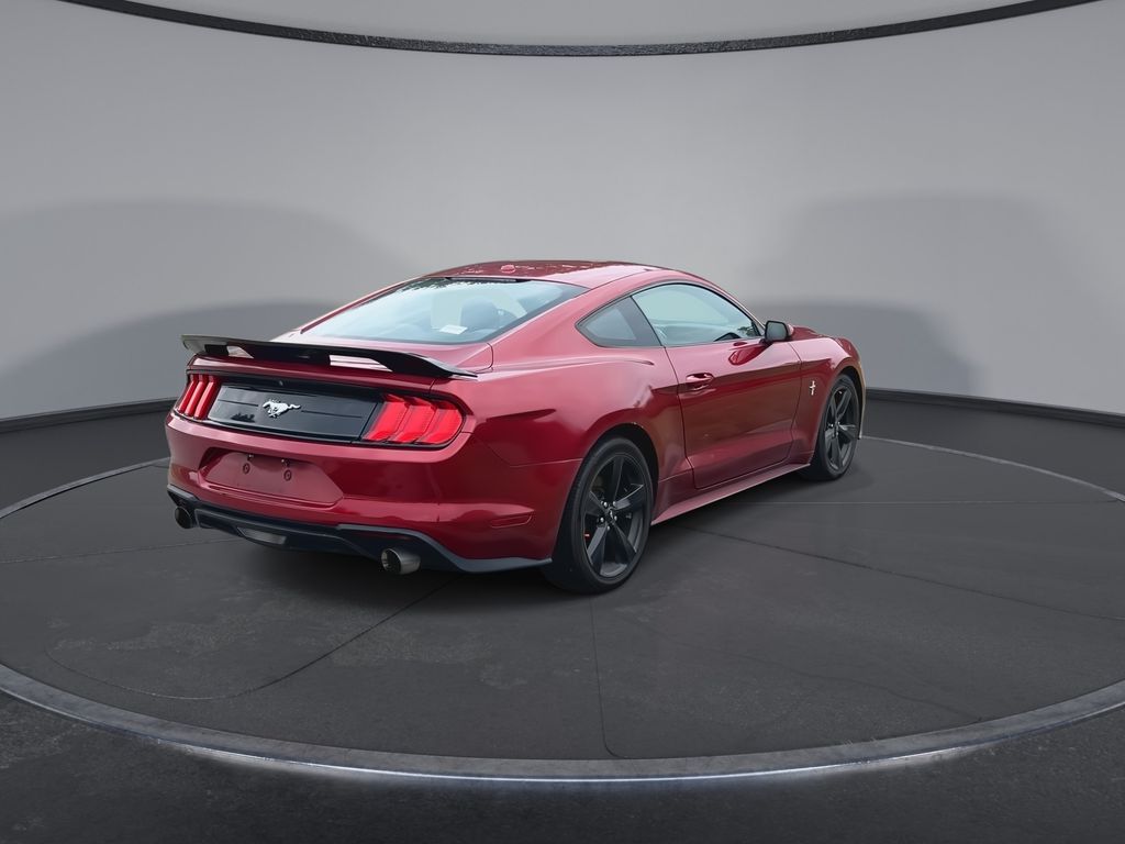Thumbnail: 2019 Ford Mustang - 8