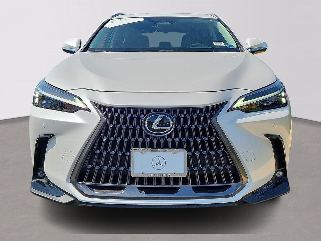 Thumbnail: 2024 Lexus NX - 2