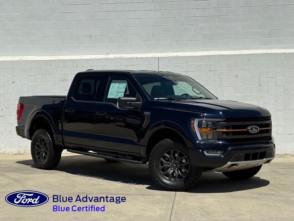 Blue Metallic 2023 Ford F-150 Pickup Truck Four-Wheel Drive Automatic