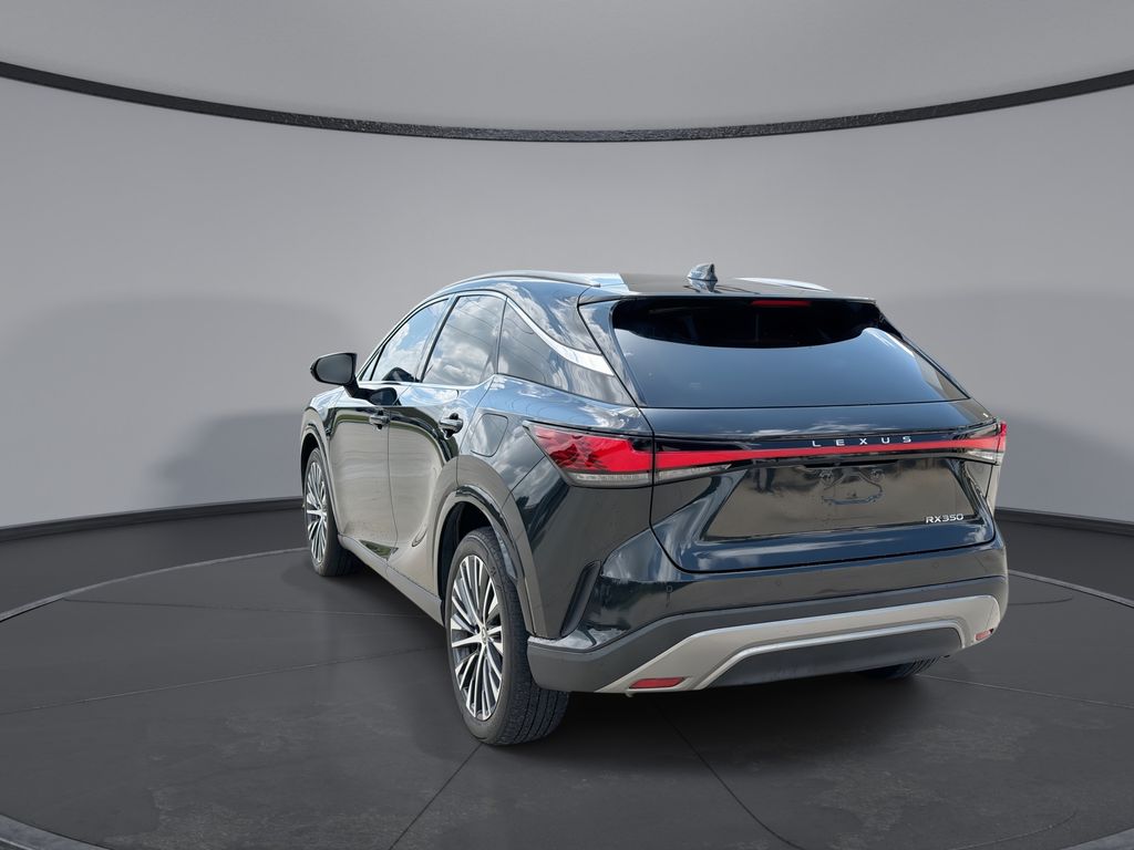 Thumbnail: 2024 Lexus RX - 10