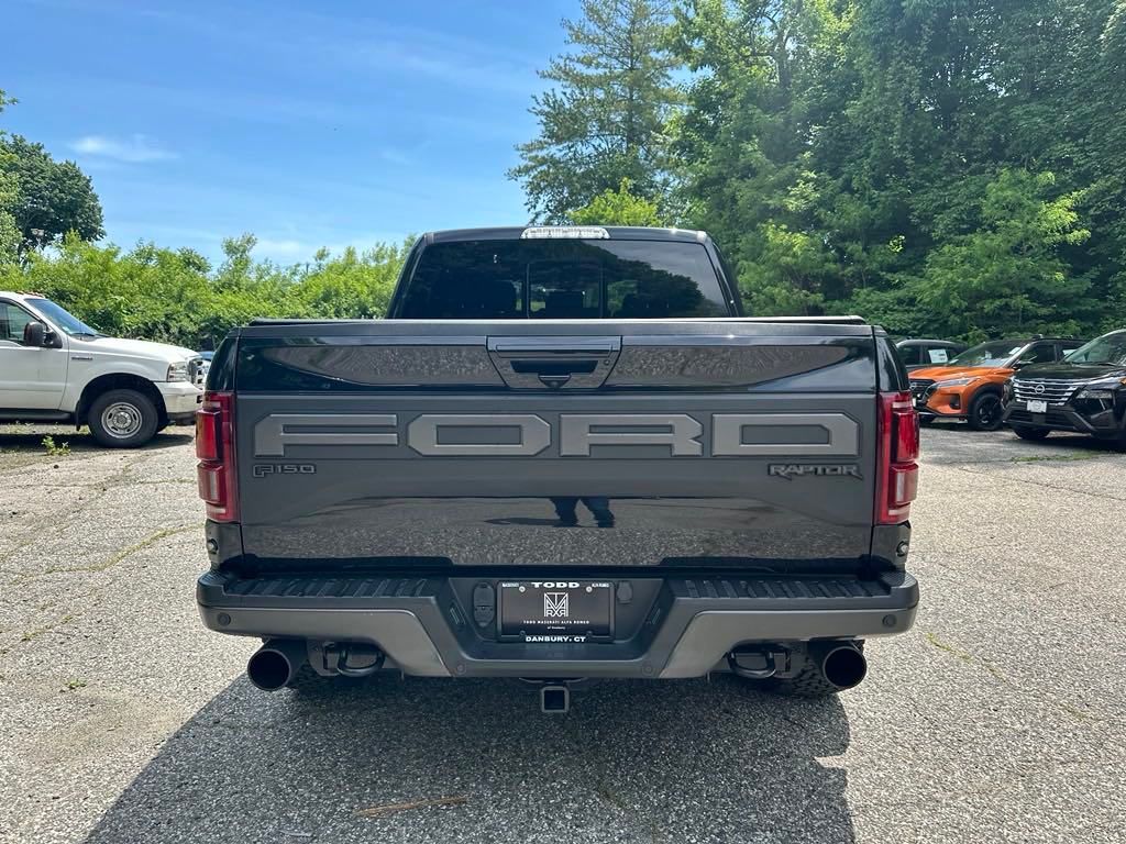 2019 Ford F-150 Raptor 4