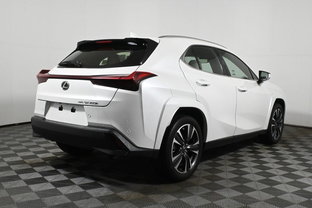 2025 Lexus UX 300h 7