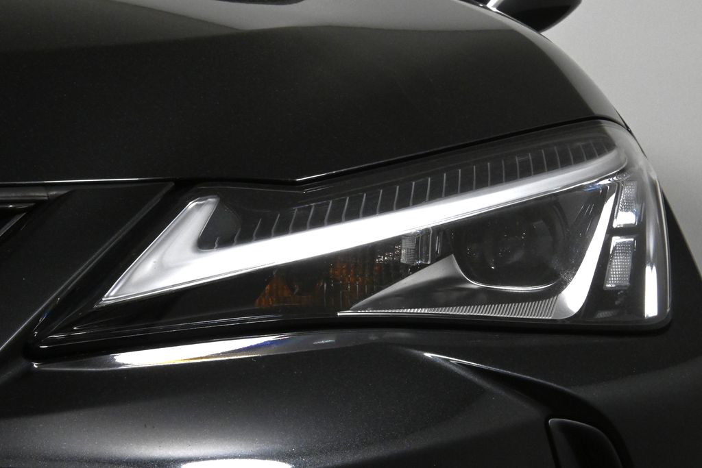 2020 Lexus UX 250h 11