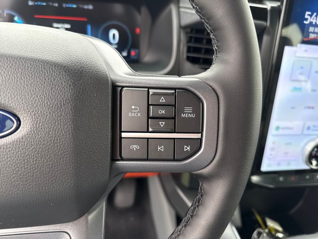 2025 Ford F-150 Lightning photo 15