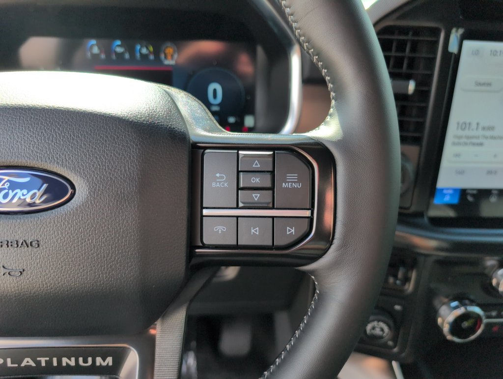 New 2026 Black Ford Platinum image 32