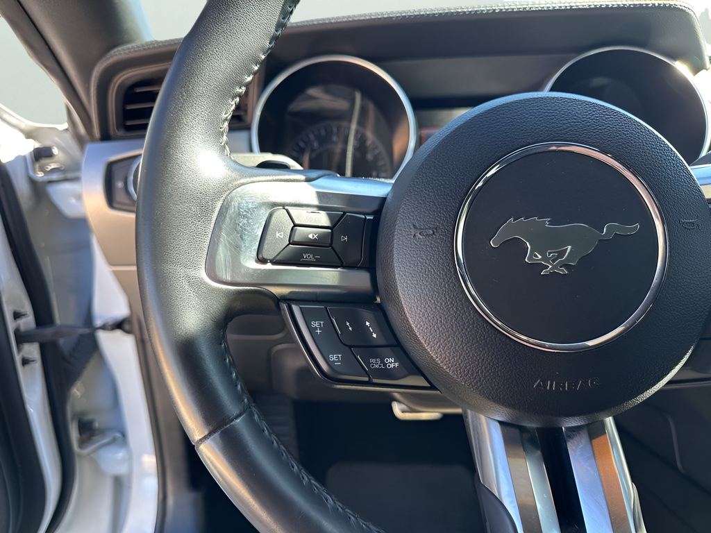 Used Car 2019 Ford Mustang  Gt Premium For Sale Under $30,000 In Austin, Texas