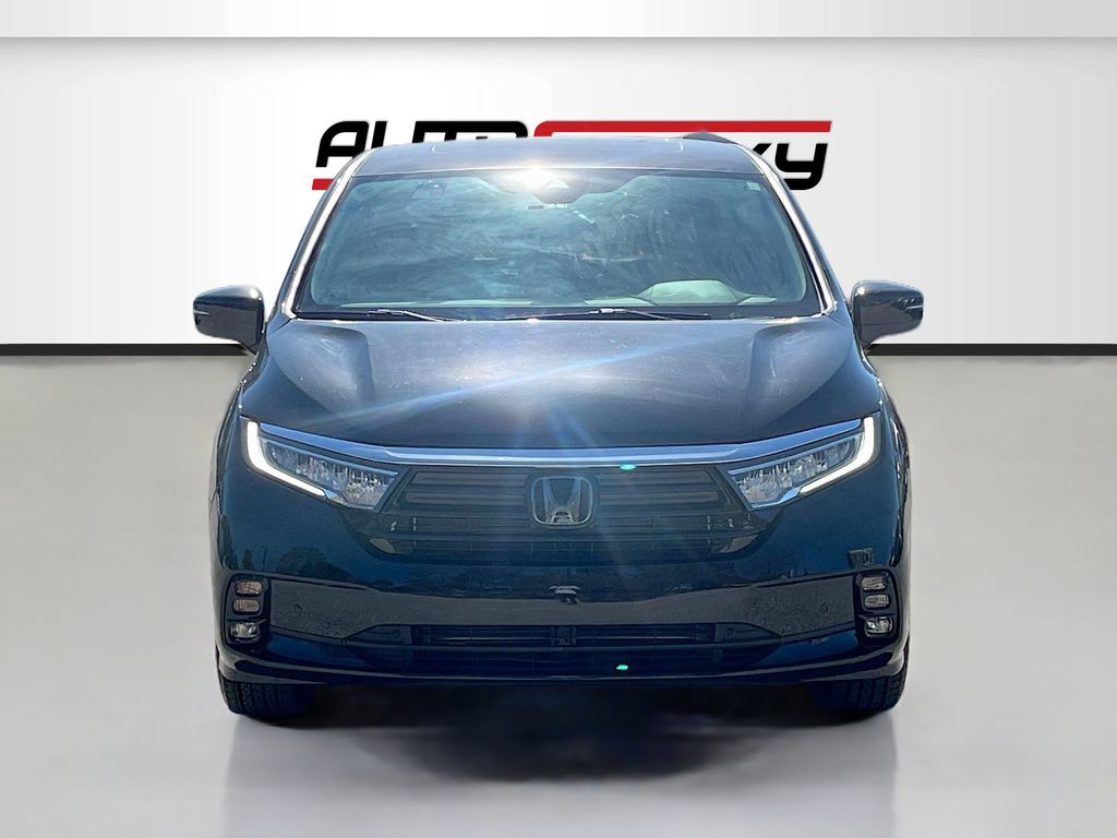 2024 Honda Odyssey Elite Black at DeMontrond Gulf Freeway