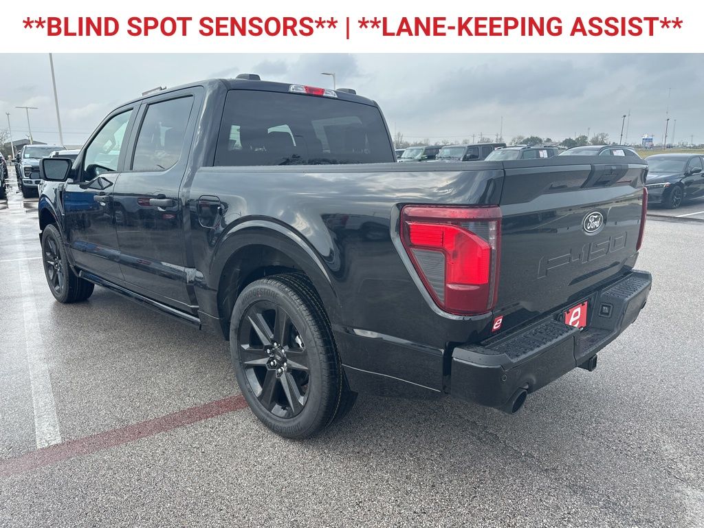 2025 Ford F-150 STX - 5