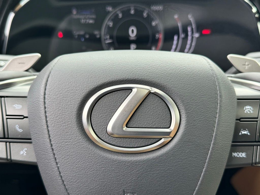 2024 Lexus NX 250 Premium 30